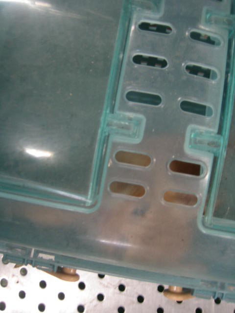 長崎保健所迷子犬リスト