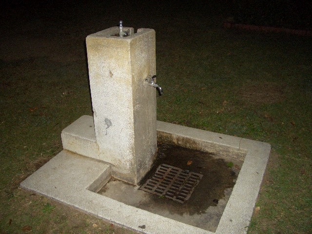 kokoさくらのブログ border=