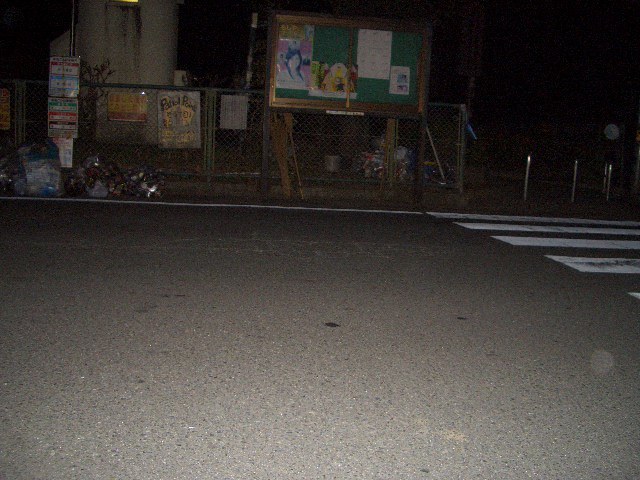 kokoさくらのブログ border=