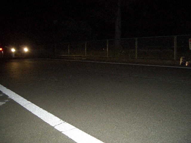 kokoさくらのブログ border=