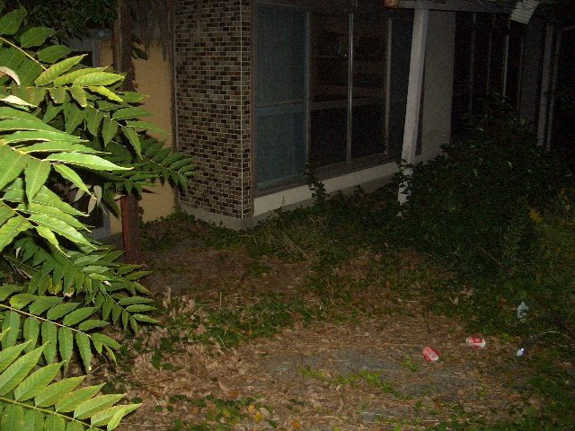 kokoさくらのブログ border=