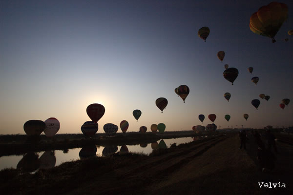 素人スタイル　～数撮りゃ当たるさ～
