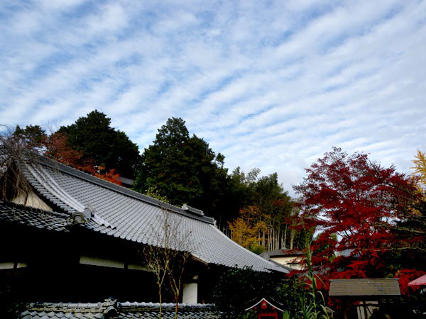 西陣に住んでます-十輪寺