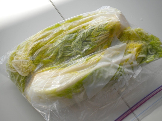 キヨミのガーデニングブログ-ジップロックで漬ける白菜漬けの画像