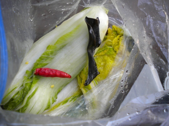 キヨミのガーデニングブログ-ジップロックで漬ける白菜漬けの画像