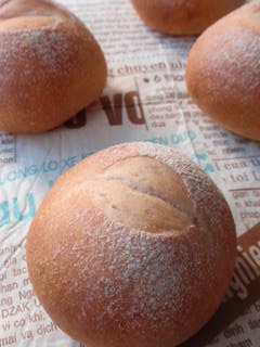 子連れＯＫパン教室ｉｎ横浜　　～ボウル一個で簡単パン作り～-全粒粉プチパン