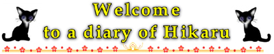 ネイルとエアブラシ職人Hikaruの日記