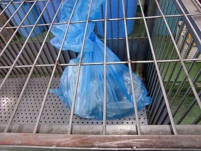 とらきち の ねこさん日記