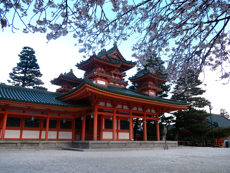 平安神宮（左近の桜）