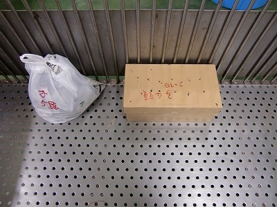 とらきち の ねこさん日記