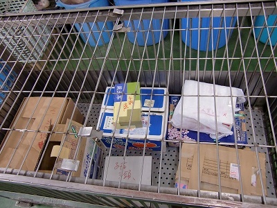 とらきち の ねこさん日記