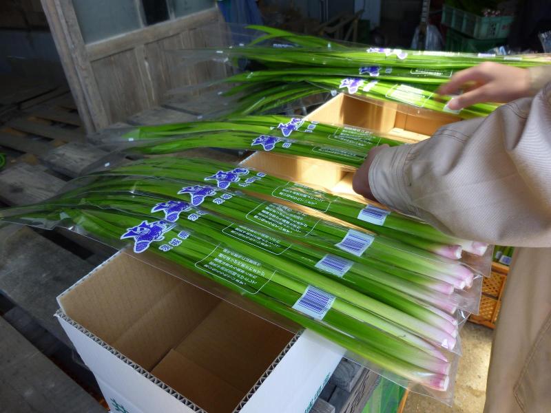 茨城県　行方市商工会-P1000457