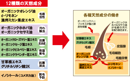 みさっちんブログ☆懸賞・モニター