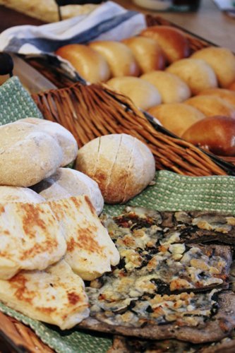 フード・ドクターくりちゃんの食は育！