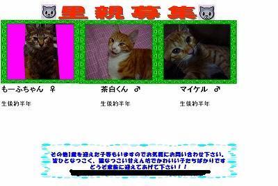 こじろう大江戸日記