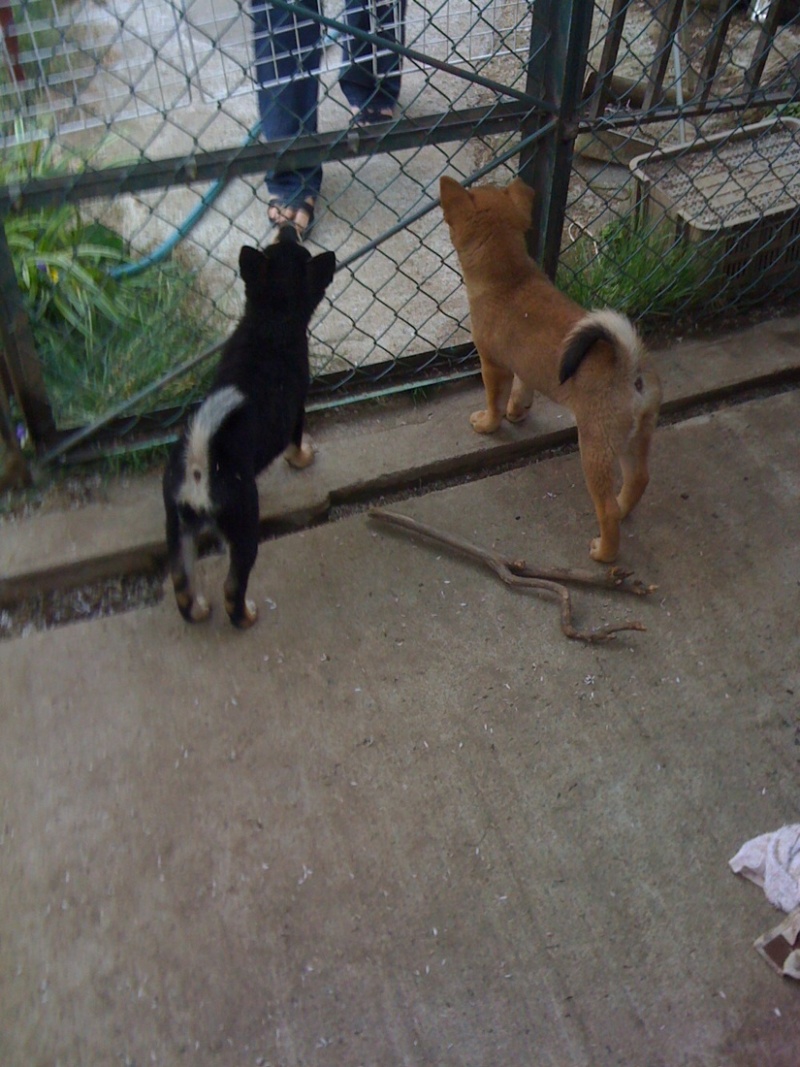photo:04