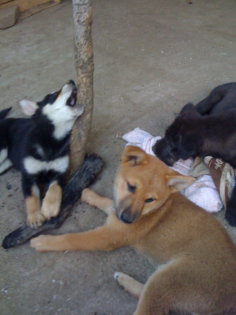 photo:01
