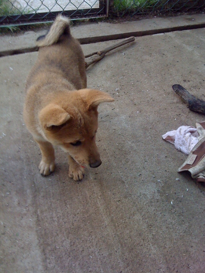 photo:03