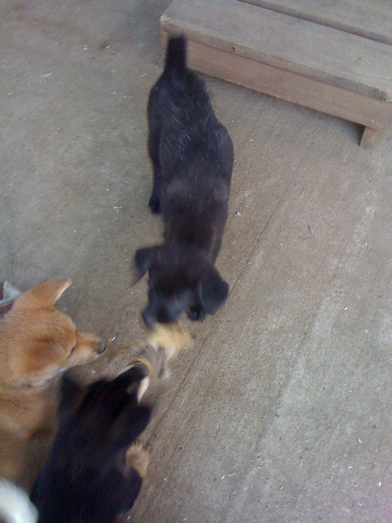 photo:02