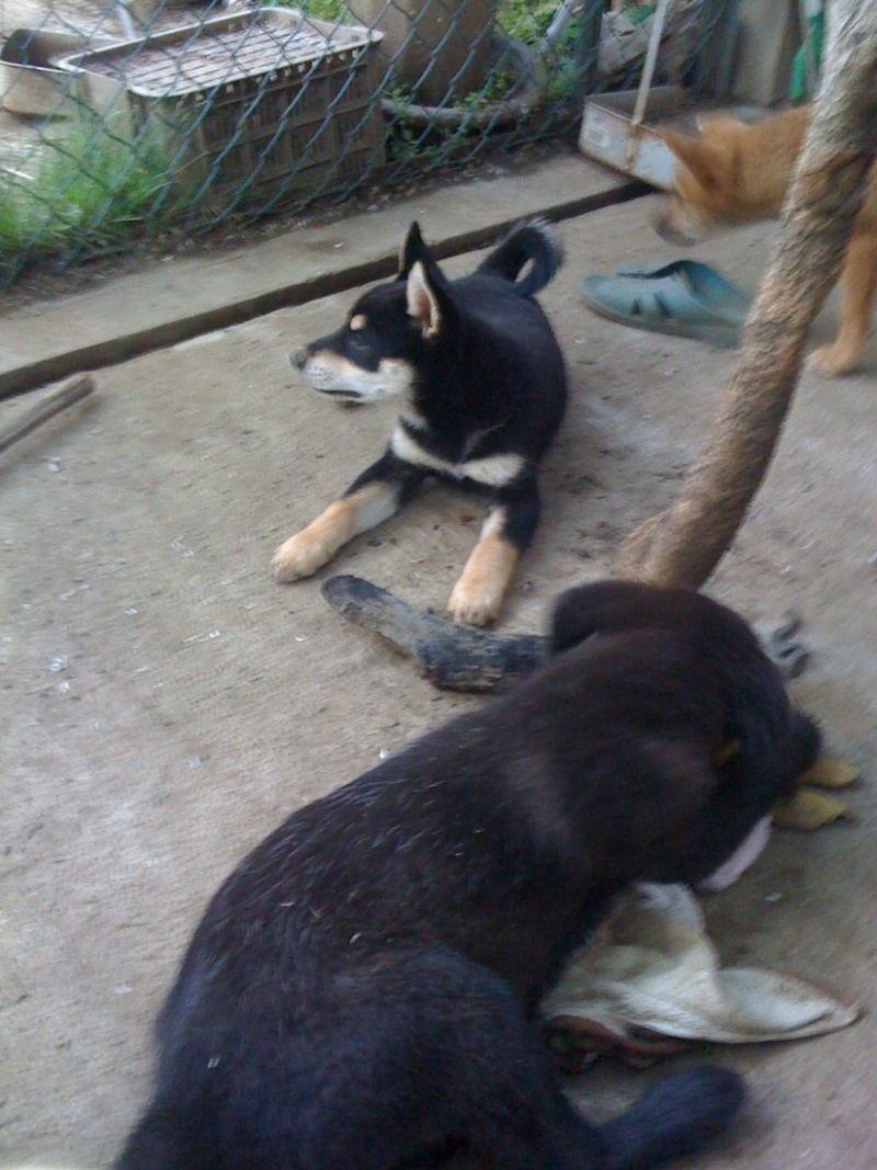 photo:05