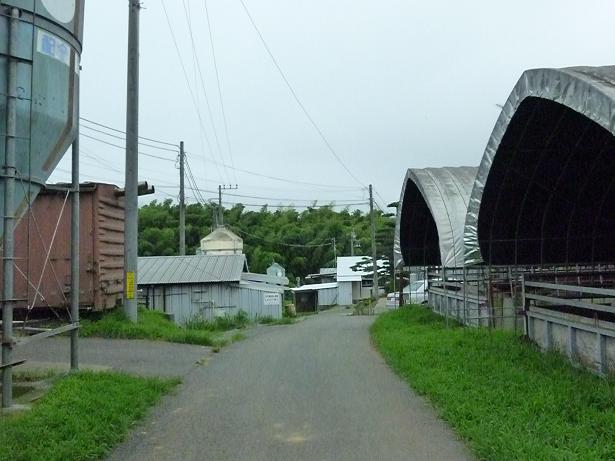 茨城県　行方市商工会-P1010093