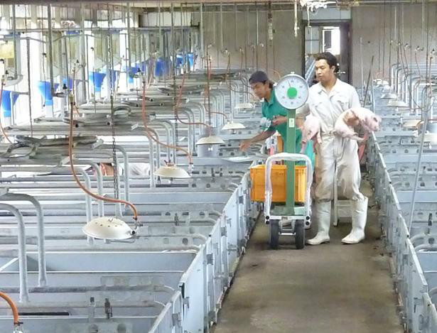 茨城県 行方市商工会-P1010085