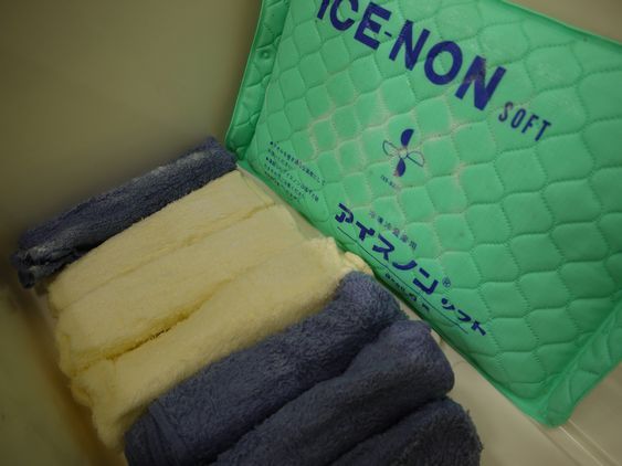 ◆信州の鎌倉・別所温泉「旅の宿 南條」◆ 新米副支配人の奮闘記!