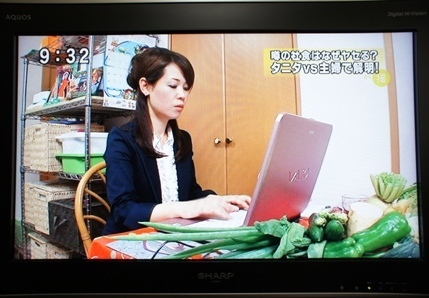 美食先生　岡田明子のブログ