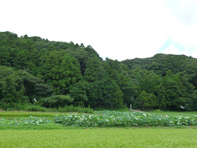 茨城県　行方市商工会-P1010791
