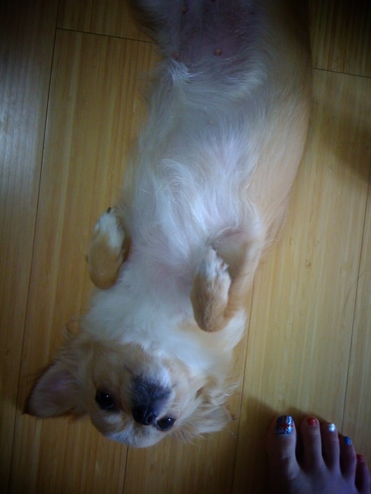 photo:01