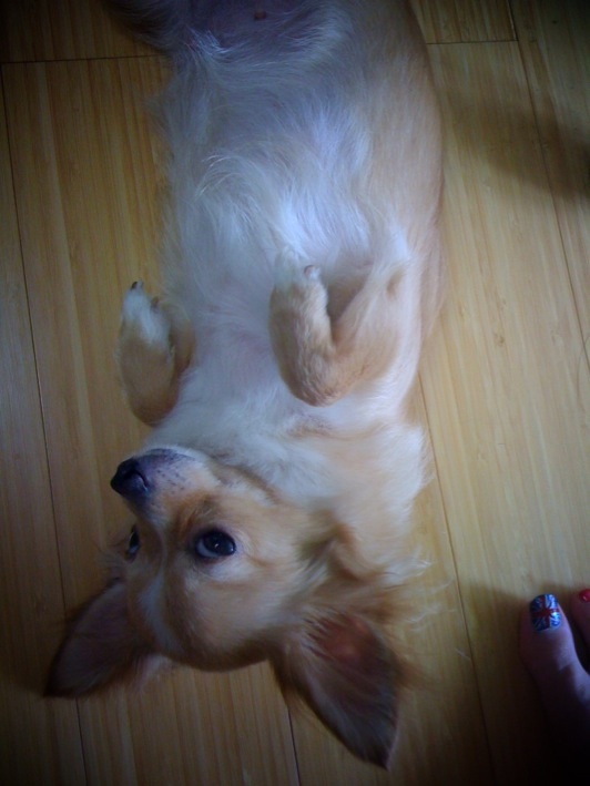 photo:02