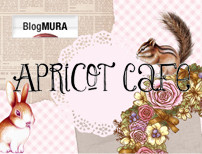 。*+。*Apricot Cafe 高澤あんず の　大人かわいいスイーツクラフトデコライフ*+。*　