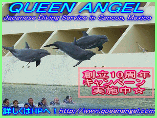Cancun Diving with Queen Angel　　　　～カンクン ダイビング～