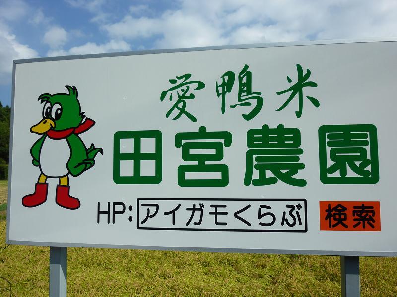 茨城県　行方市商工会-P1020309