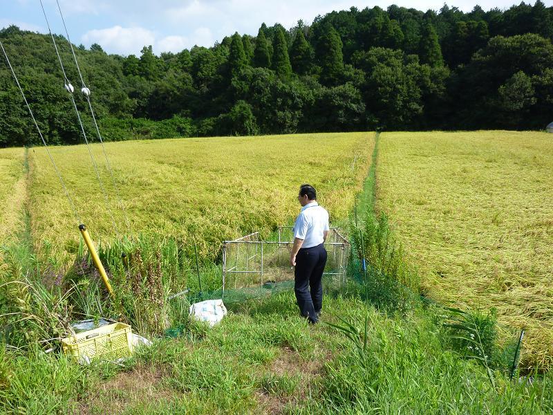 茨城県　行方市商工会-P1020310