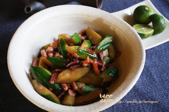 $タラゴンの挿し木 ～お野菜多めのオシャレな食卓～