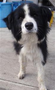 $ふかふか * ぽかぽか