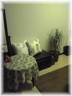 隠れ家サロン『Le violette-れ・びおれって』すみれの部屋-Image114.jpg