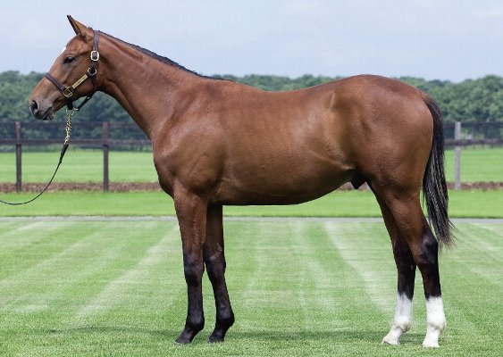 CARROT LIFE~一口馬主生活と競馬予想