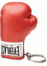 ＢＯＸＩＮＧ　ＭＡＳＴＥＲ/ボクシング　マスター