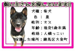 ショコたん★ぶろぐ