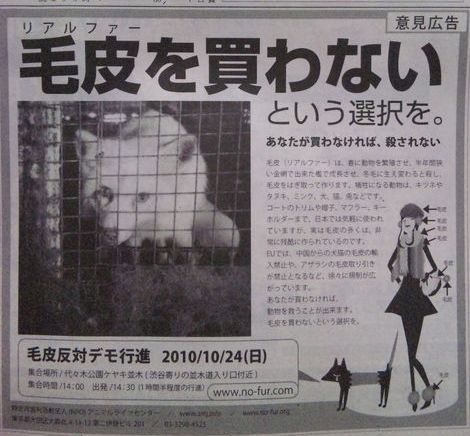 $姫ママ大家族 (ケンの家一匹でも多くの命を救いたい)
