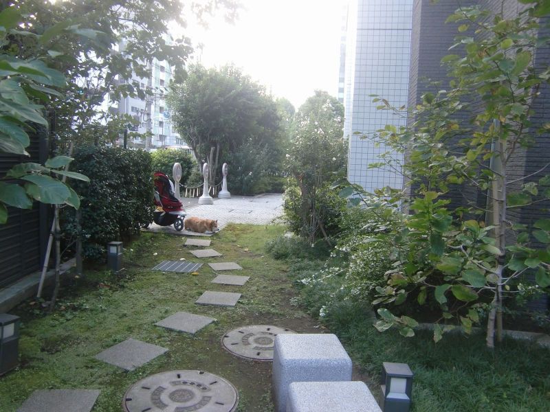 赤羽橋・港区三田・どすこい空が行く。拡大バージョン・○●○●○●○●○●