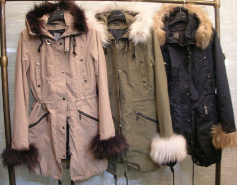 Ｂ７＜ベーセッツ＞ ＮＯ　ＲＯＳＥ　ＷＩＴＨＯＵＴ　Ａ　ＴＨＯＲＮ　