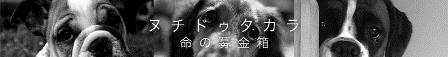 Matsu's Nursing & Nail Record