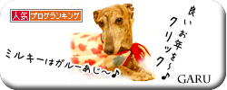 人気ブログランキングへ