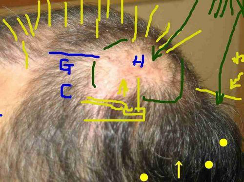 未来開発　＜心のニュートラル＞-写真で作業指示