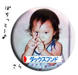 にほんブログ村 ダックスフンドへ