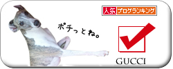 人気ブログランキングへ