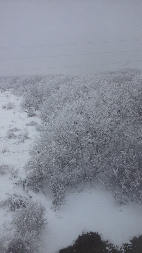 こんにちは★大人気のシャンティネイルです★
